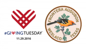 giving-tues-header