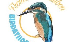 Frontera Audubon Birdathon 2018!