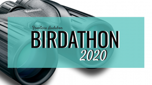 Birdathon 2020